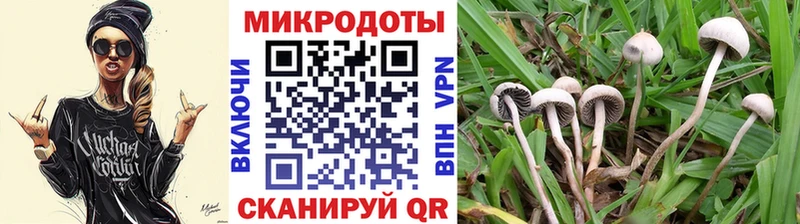mega рабочий сайт  Кукмор  Галлюциногенные грибы ЛСД 